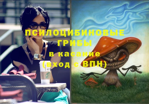 a pvp Аркадак