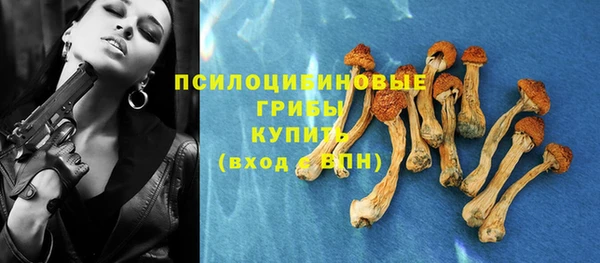 дживик Армянск
