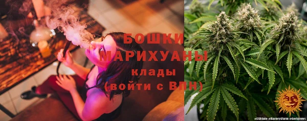 a pvp Аркадак