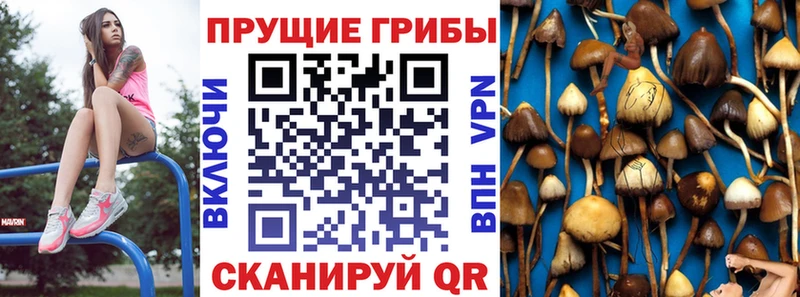 купить закладку  кракен tor  Псилоцибиновые грибы Psilocybine cubensis  Мамадыш 